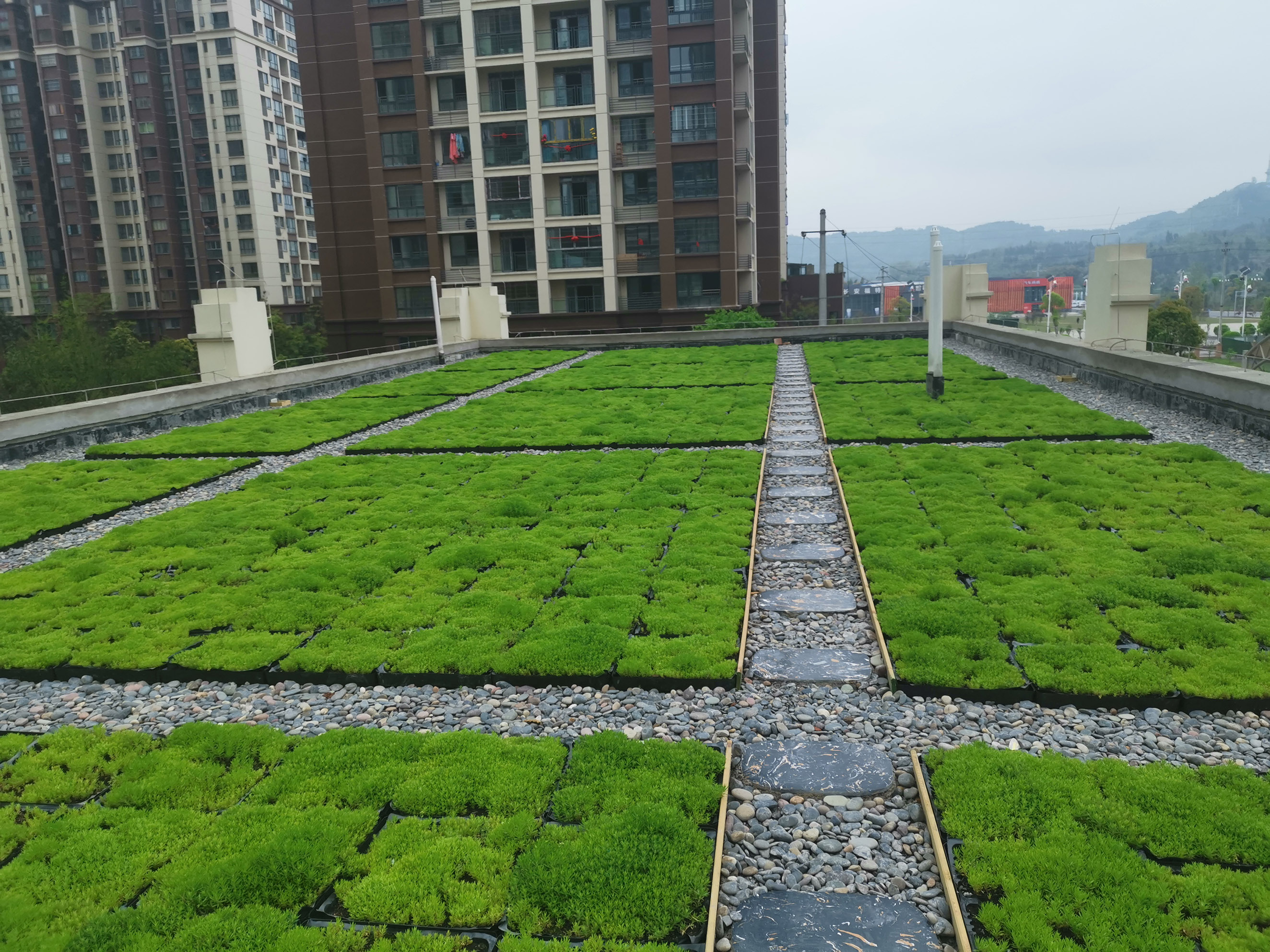 1621819841113922.jpg 屋頂綠化現(xiàn)場(chǎng)照片 (11)縮小版.jpg